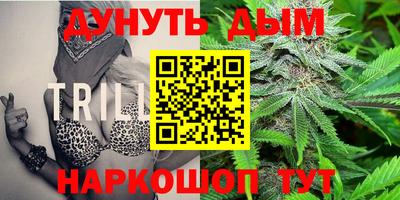 мдпв Кимры