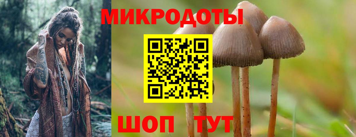 Псилоцибиновые грибы прущие грибы Кудымкар